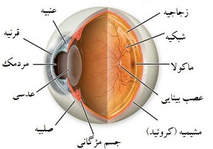 بیماری های چشمی را جدی بگیریم