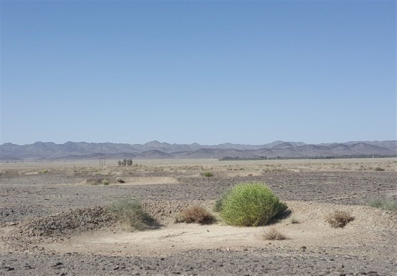ساخت ۳۰ هزار هلالی آبگیر در دشتستان