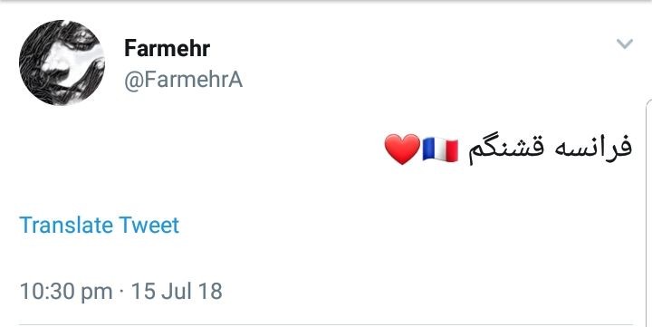 واکنش طرفداران به قهرمانی فرانسه در جام جهانی 2018 +تصاویر