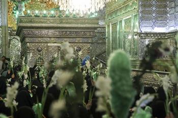 راهپیمایی بانوان شیرازی از مرقد 