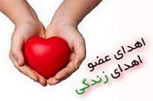 اهدا عضو هشتمین بیمارمرگ مغزی در یاسوج