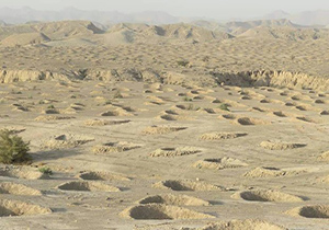 200 هزار هکتار از کانون های بیابانی آران بیدگل تحت عملیات تثبیت شن قرار می گیرد
