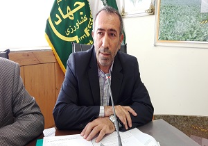 مبارزه شیمیایی با علف‌های هرز در سطح ۱۶۲ هزار هکتار از اراضی زراعی آذربایجان غربی