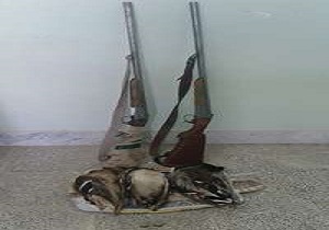 دستگیری 3 شکارچی غیرمجاز در نهبندان