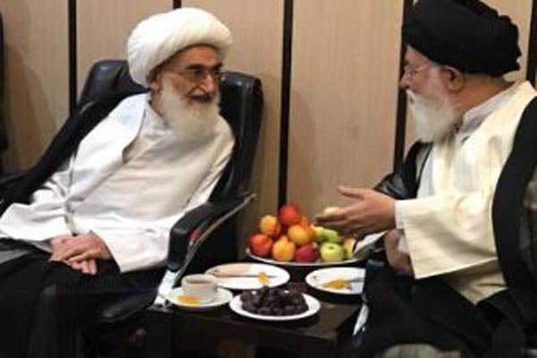 دیدار امام جمعه مشهد با آیت الله نوری همدانی در مشهد