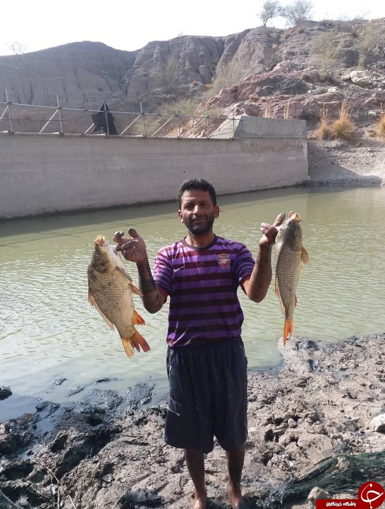 ماجرای جوانبیکارِ بی&zwnj;پولی که میلیونر شد!/ سود ۳ میلیارد تومانی با &laquo;کپور&raquo; در ۱ سال + تصاویر