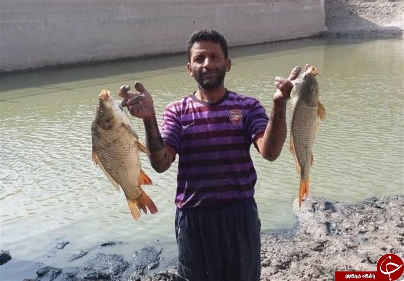 ماجرای جوانبیکارِ بی&zwnj;پولی که میلیونر شد!/ سود ۳ میلیارد تومانی با &laquo;کپور&raquo; در ۱ سال + تصاویر