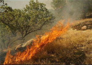 گرمای هوا؛ تهدیدی برای محیط زیست