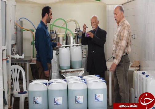 تلفیق دانش و تجربه رمز موفقیت کارآفرین ۸۰ ساله مازندرانی