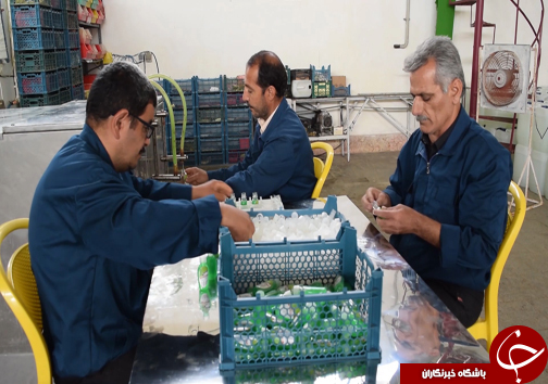 تلفیق دانش و تجربه رمز موفقیت کارآفرین ۸۰ ساله مازندرانی