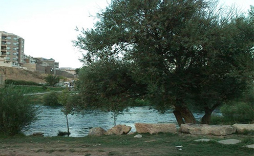 نوسانات دمای هوا مهاباد در روز&zwnj;های گرم تابستان