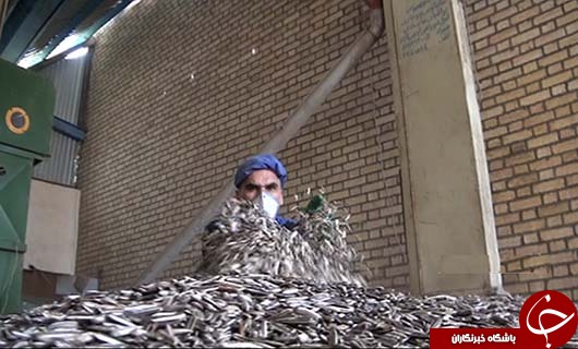 خشکباری باطعم ایرانی خشکباری باطعم ایرانی