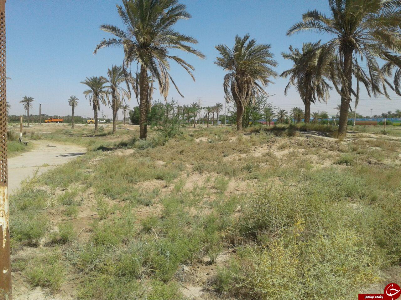 وضعیت نامناسب پارک در پادادشهر اهواز + تصاویر