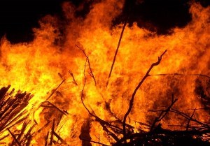 ۲۶۰ هکتار جنگل و مرتع آذربایجان شرقی طعمه حریق شد