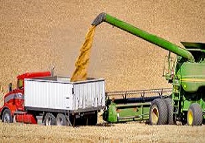 پرداخت ۵۰ درصد از هزینه گندم‌های خریداری شده از کشاورزان