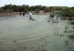 نجات ۲ هزار قطعه ماهی و بچه ماهی از رودخانه