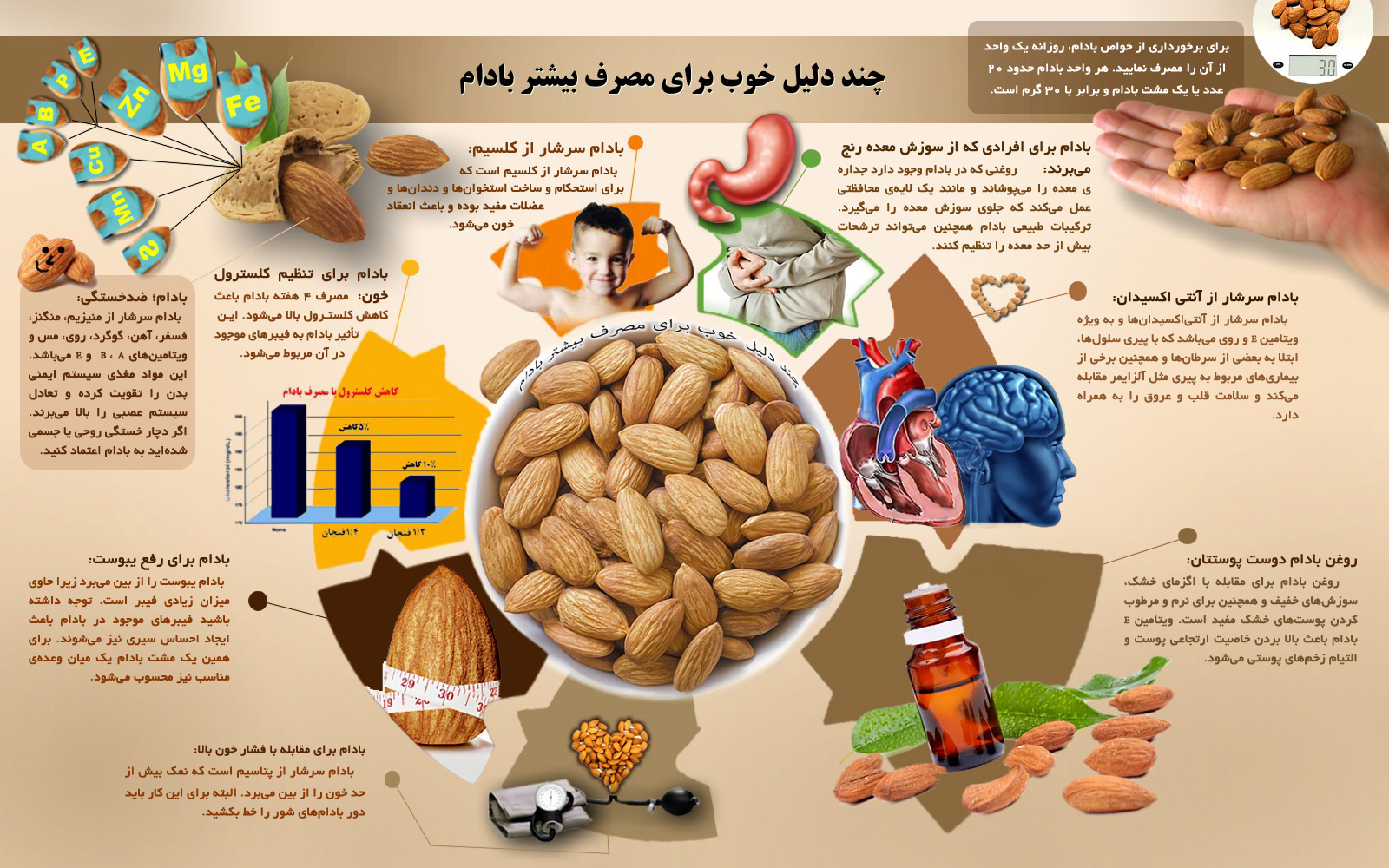 چتد دلیل خوب برای مصرف بادام+اینفوگرافی چتد دلیل خوب برای مصرف بادام+اینفوگرافی