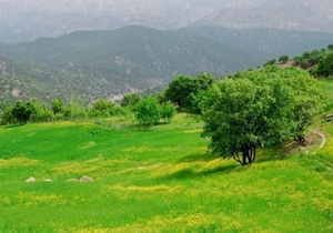 احتمال رگبار باران در چهارمحال و بختیاری