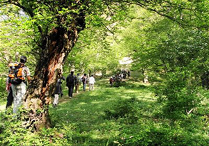 رتبه نخست اصفهان در طبیعت‌گردی