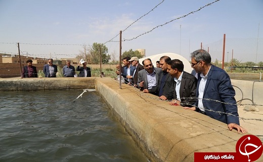 سفر معاون سازمان جنگلها، مراتع و آبخیزداری کشور به بافق+تصاویر