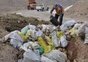 معدوم سازی بیش از 2 تن گوشت بلدرچین منجمد در مهدیشهر