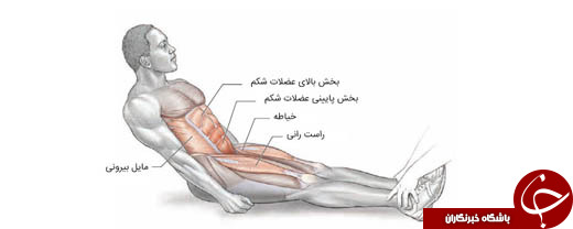 مزایا و معایب دراز و نشست / آیا دراز و نشست واقعا لاغر می کند؟