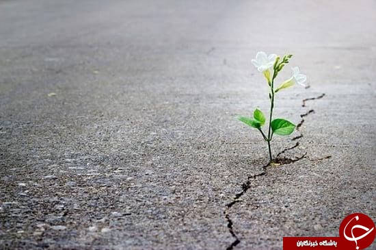 جملاتی که فانوس انگیزه در شما روشن میکند! / جملات انگیزشی از افراد بزرگ/ ما همان چیزی میشویم که به آن فکر میکنیم! جملاتی که فانوس انگیزه در شما روشن میکند! / جملات انگیزشی از افراد بزرگ/ ما همان چیزی میشویم که به آن فکر میکنیم!