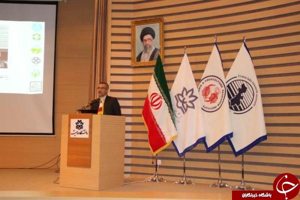 برگزاری نخستین همایش ملی جنگل های ایران ,پژوهش وتوسعه در آذربایجان غربی برگزاری نخستین همایش ملی جنگل های ایران ,پژوهش وتوسعه در آذربایجان غربی