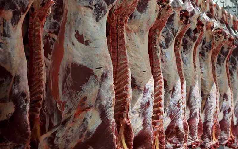 آغاز عرضه گوشت دولتی در همدان