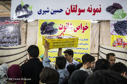 نشست خبری پنجمین جشنواره عکس نورنگار