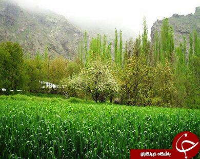نمایی از طبیعت جذاب در طارم + تصاویر