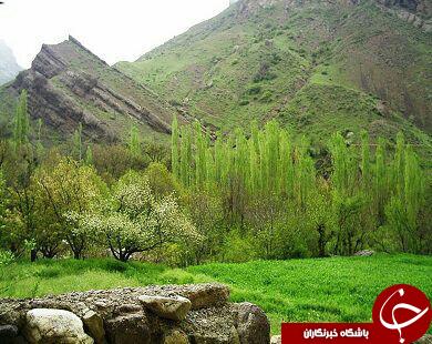 نمایی از طبیعت جذاب در طارم + تصاویر