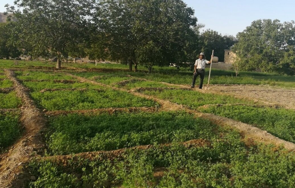 یوروهای ۱۸ هزار گردشگرخارجی در جیب یک روستایی بی&lrm;سواد+فیلم