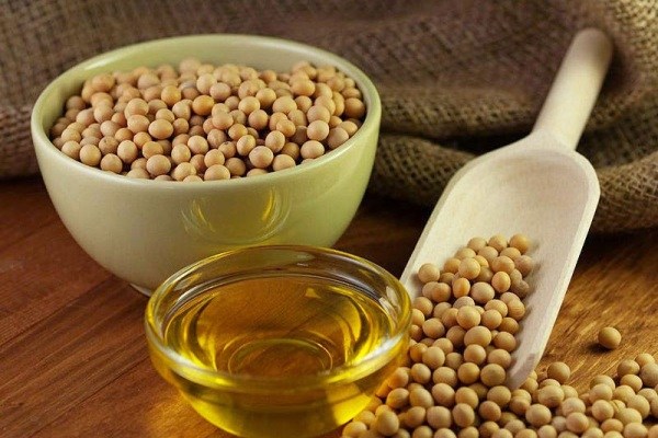 آیا سویا می&zwnj;تواند استخوان های&zwnj;تان را محکم کند؟