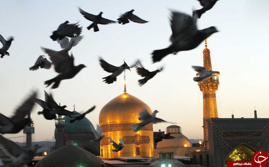 چطور به امام رضا (ع) توسل کنیم و حاجت بخواهیم؟! + نحوه خواندن نماز حاجت امام رضا (ع)