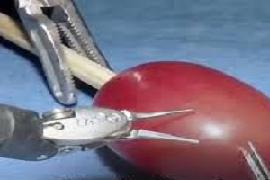 بخیه ظریف ربات روی انگور! + فیلم