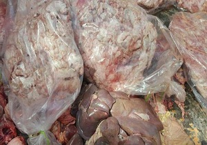 کشف فرآورده های دامی غیر مجاز در گرمسار