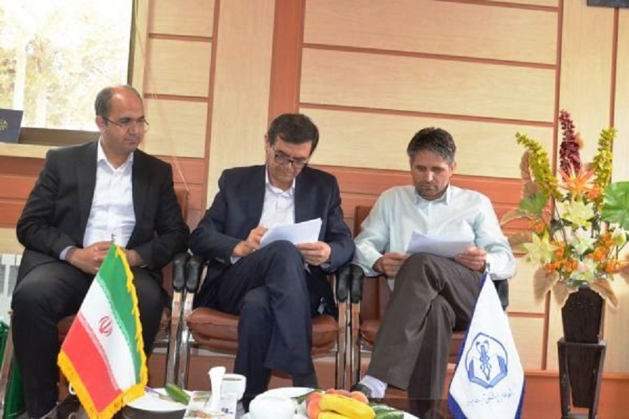 امضای تفاهمنامه همکاری میان علوم پزشکی تربت حیدریه و کابل