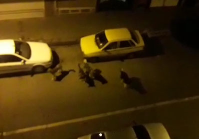 جولان آزادانه سگ‌های ولگرد در خیابان‌های تبریز + فیلم