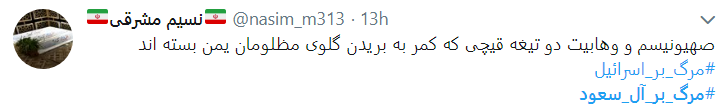 واکنش کاربران به مظلومیت یمن با هشتگ مرگ بر آل سعود