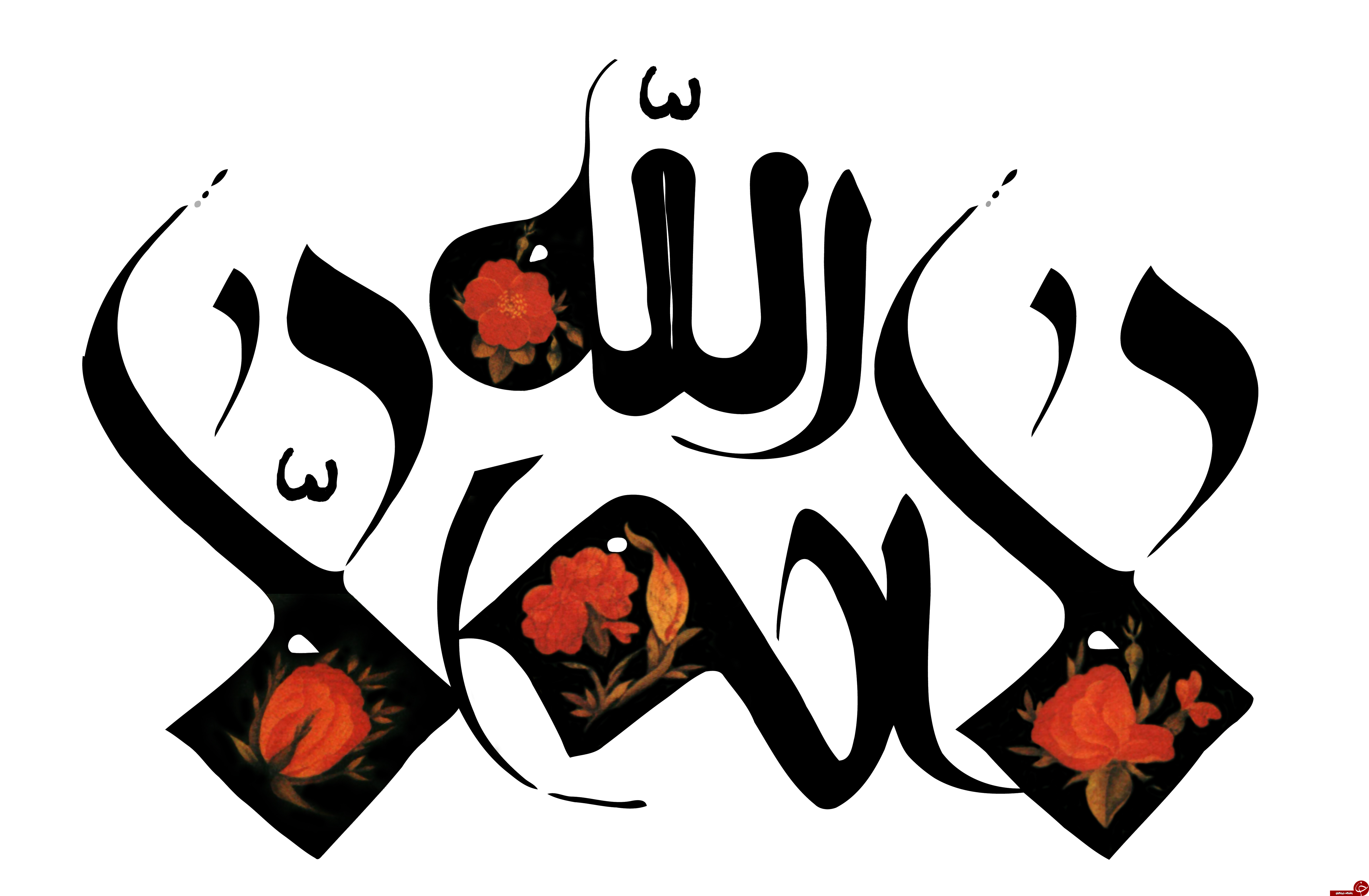 از ذکر لا اله الا الله چه می&zwnj;دانید؟! / آیا گفتن ذکر لا اله الا الله برای آدم&zwnj;های عادی عوارضی دارد؟!
