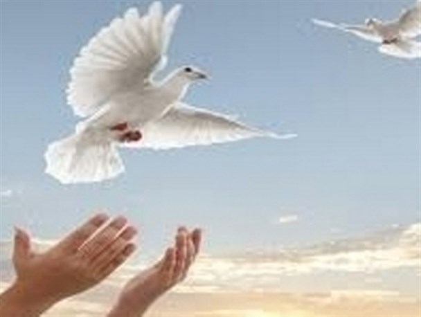 پیامبر چه کسانی را عفو نمی&zwnj;کرد؟