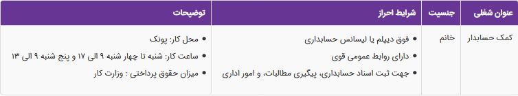 استخدام کمک حسابدار خانم در یک شرکت کامپیوتری