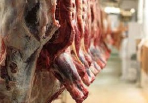 جلوگیری از شیوع بیماری تب کریمه کنگو در آبادان