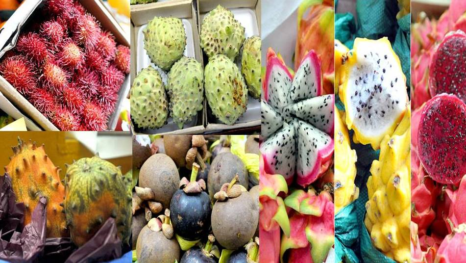 آجیل و میوه&zwnj;های عجیب و لاکچری بر سر سفره کاربران داخلی/ از &laquo;گارسینیا&raquo; لاغرکننده تا انگوری که طعم آناناس می دهد+تصاویر