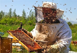 انجام پایش بیماری‌ها در زنبورستان‌های شهرستان درمیان