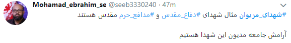 واکنش کاربران در فضای مجازی به 11 شهید منطقه مریوان + تصاویر
