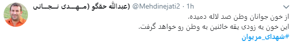 واکنش کاربران در فضای مجازی به 11 شهید منطقه مریوان + تصاویر