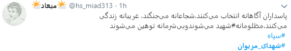 واکنش کاربران در فضای مجازی به 11 شهید منطقه مریوان + تصاویر