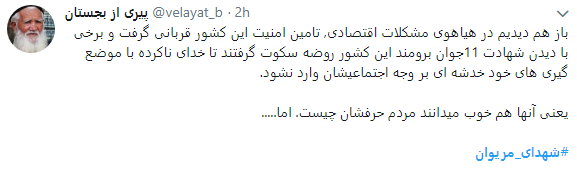 واکنش کاربران در فضای مجازی به 11 شهید منطقه مریوان + تصاویر